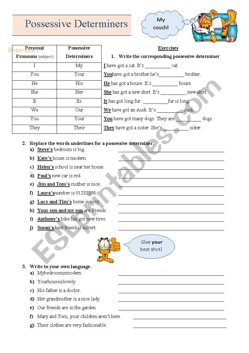 Possessive Determiners worksheet