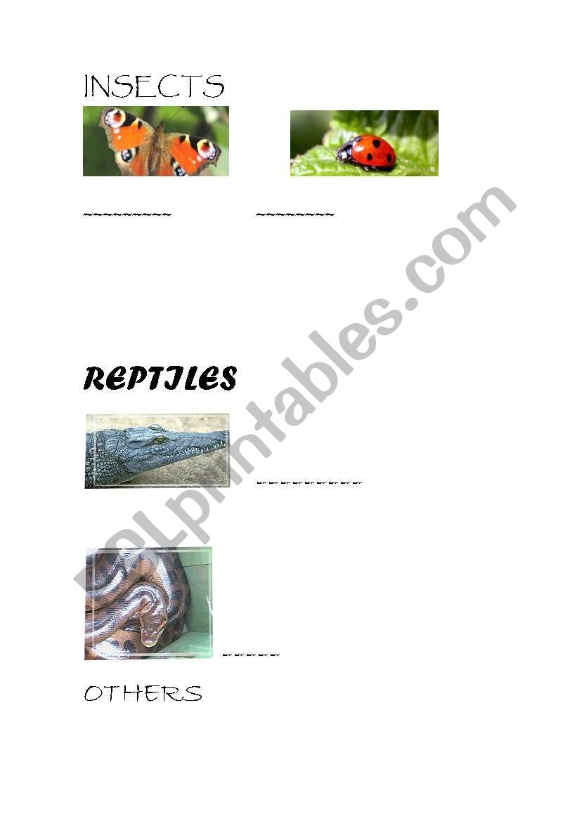 ANIMALS 2:insects, reptiles and others