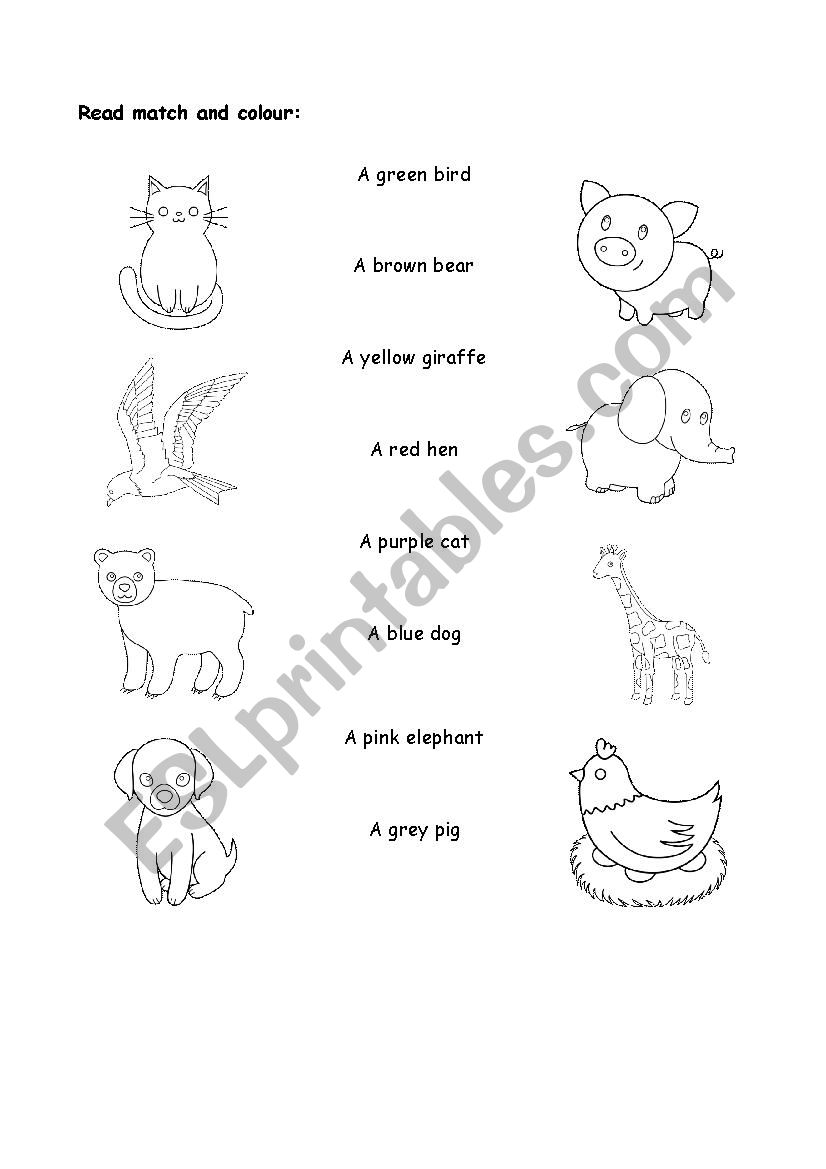 Animals and Colours worksheet