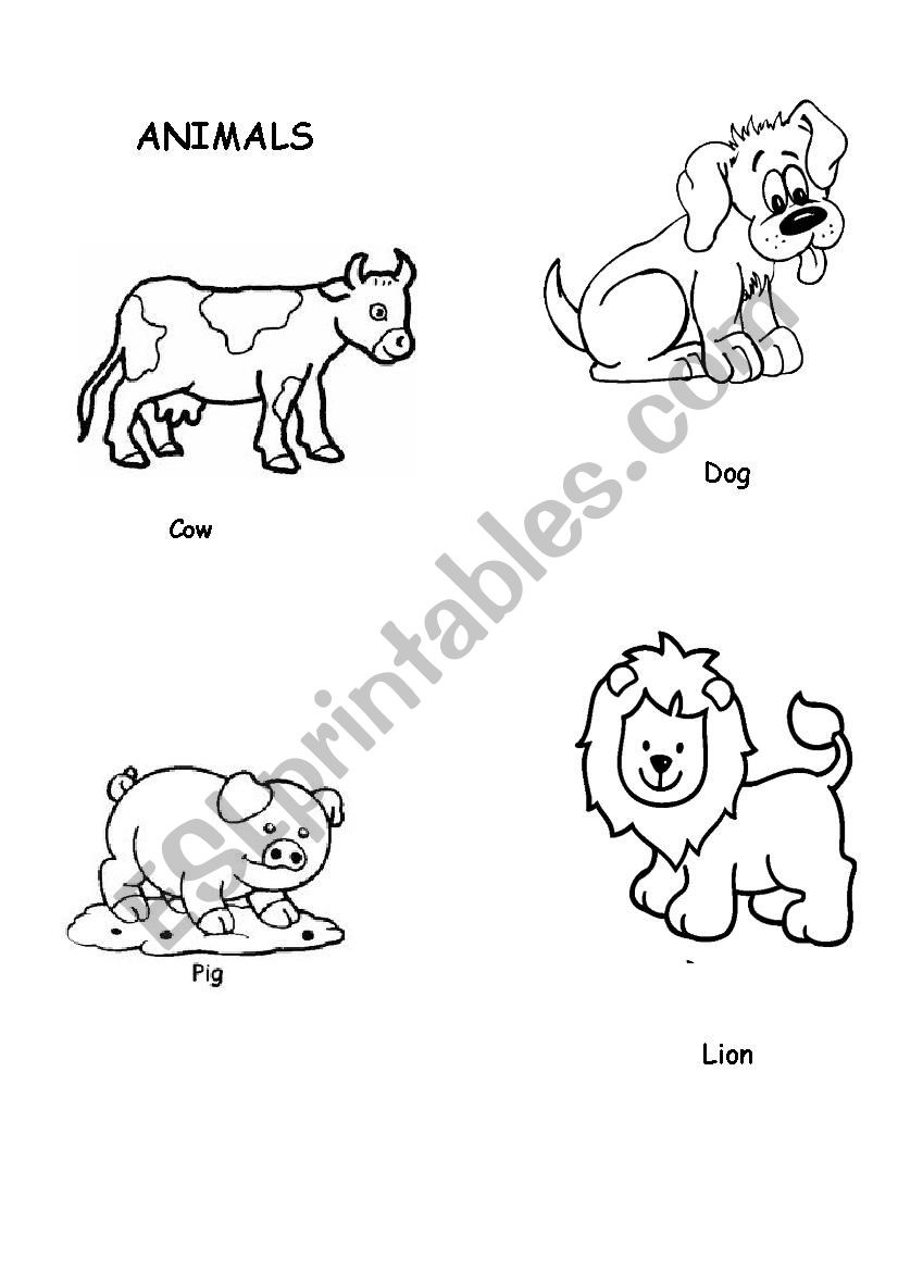 animals cards worksheet