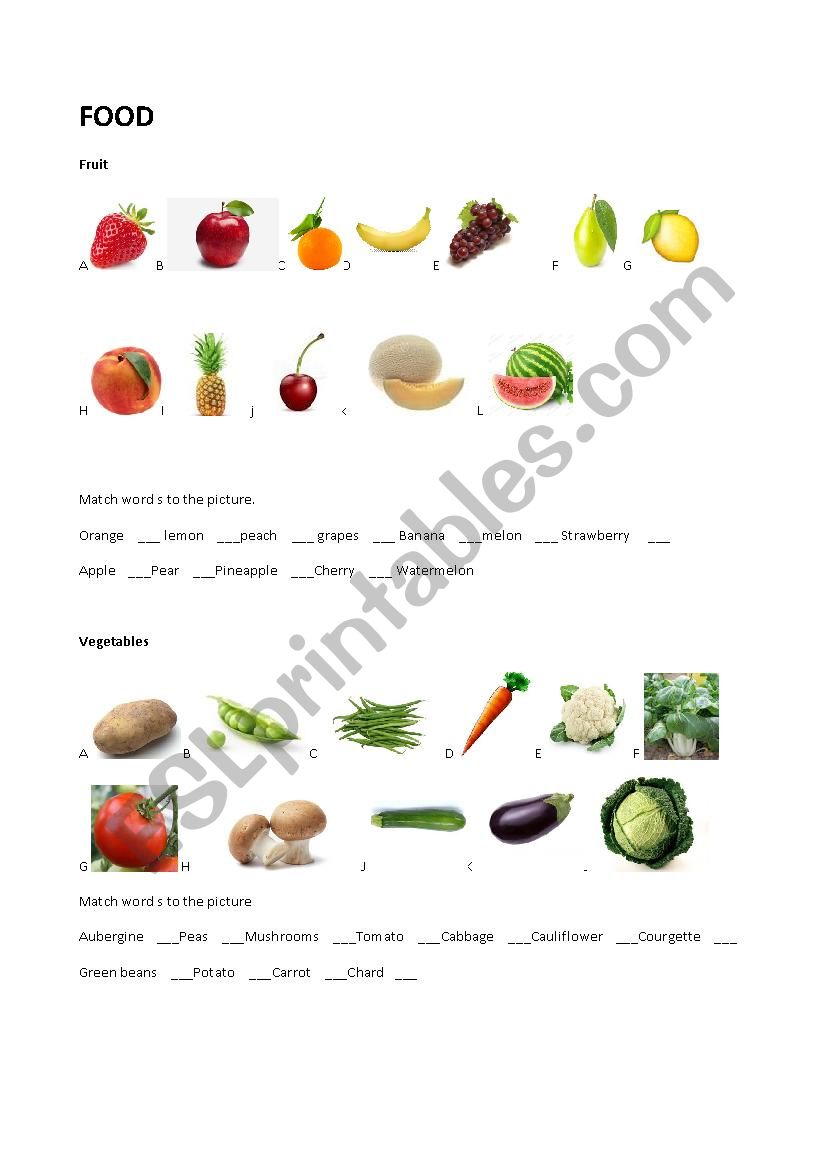 FOOD worksheet