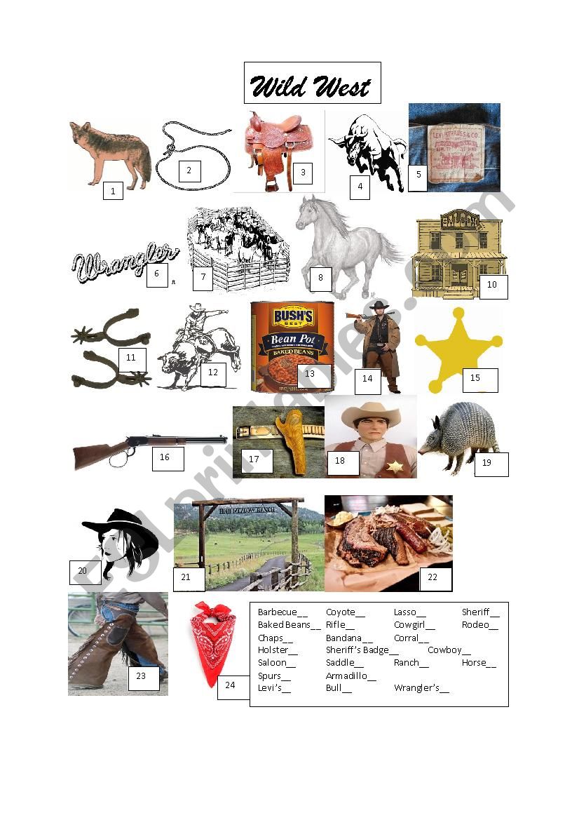 Wild West vocab worksheet