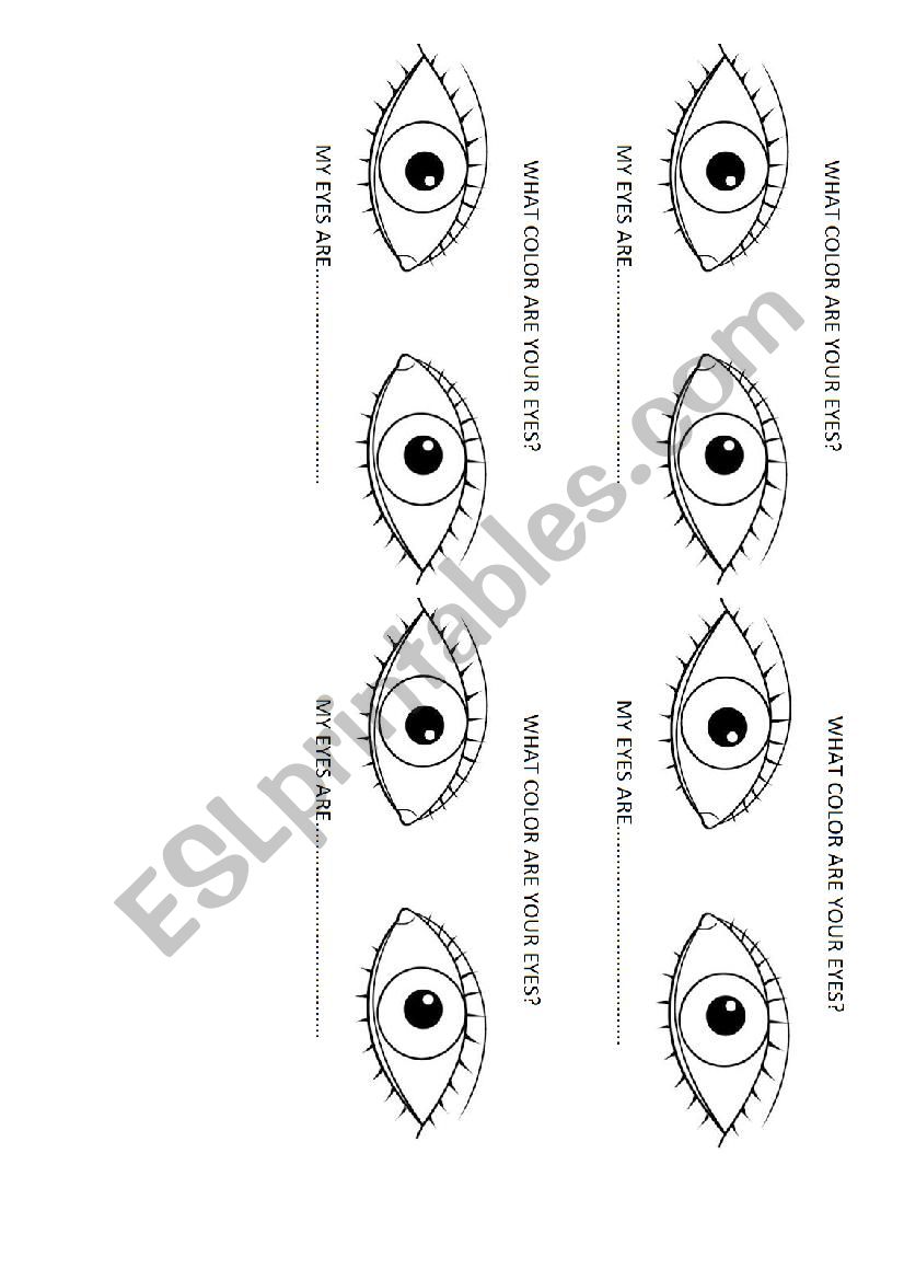 Body and colors worksheet