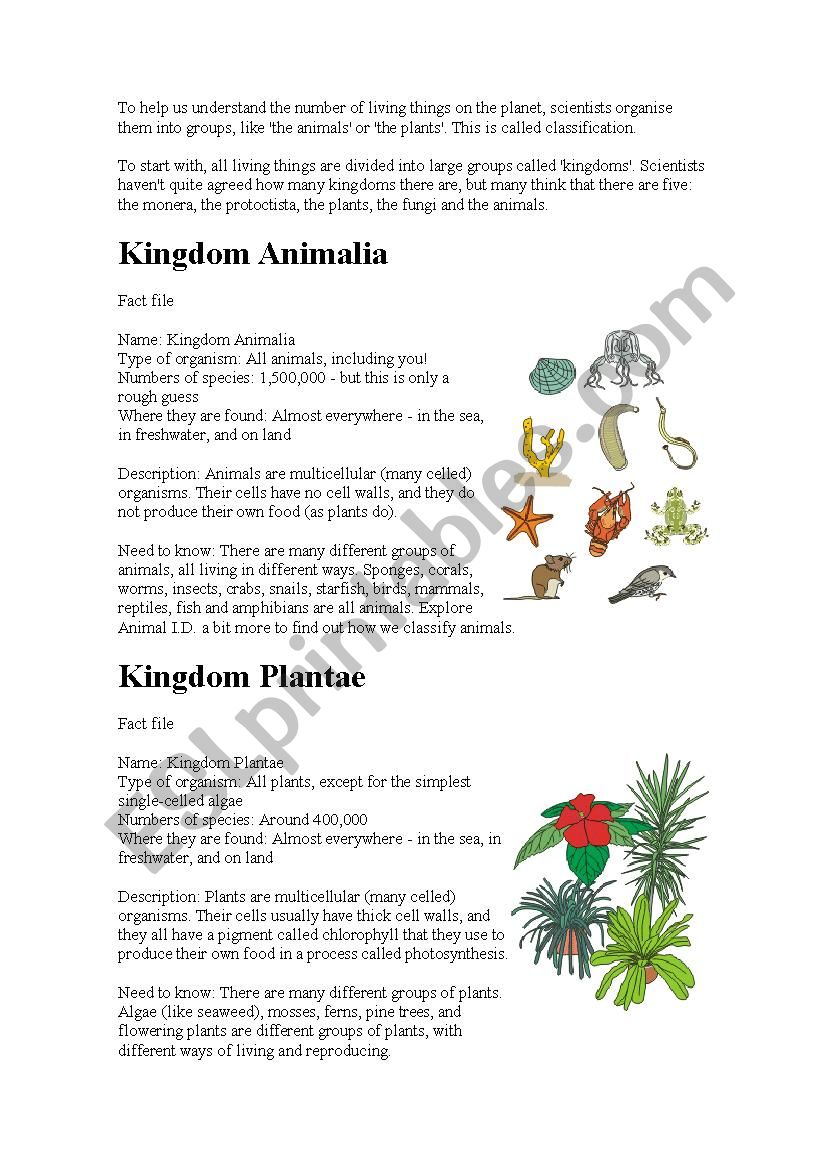 THE KINGDOMS worksheet