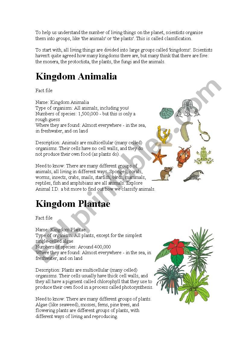 the-kingdoms-esl-worksheet-by-ganadora