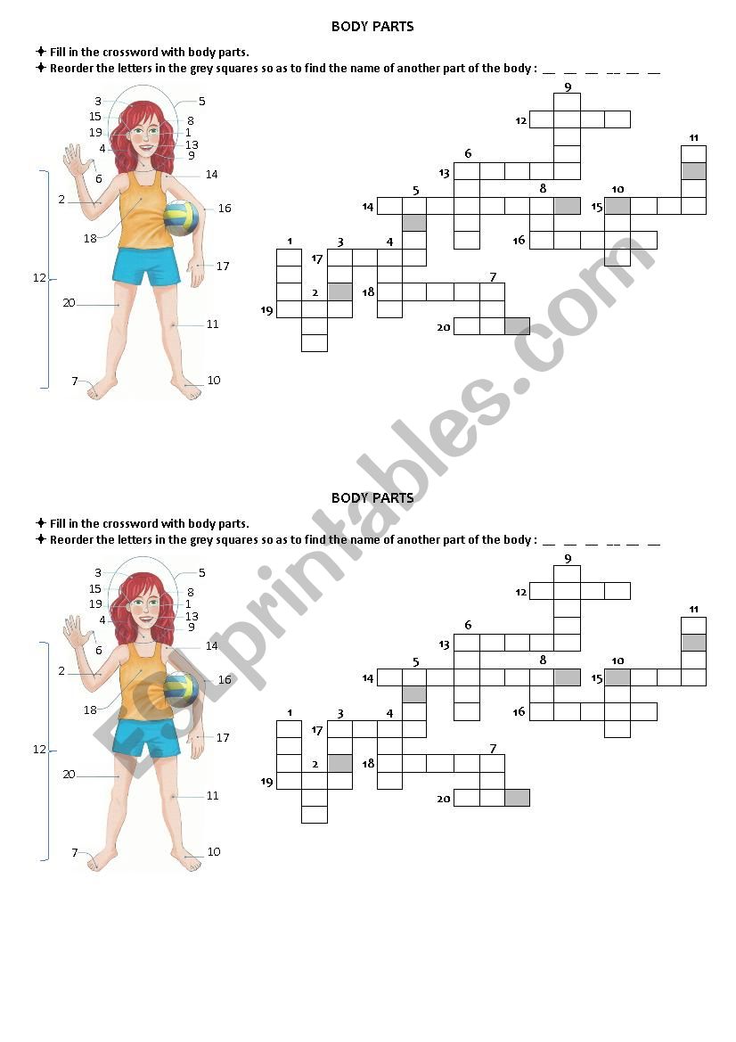 BODY PARTS worksheet