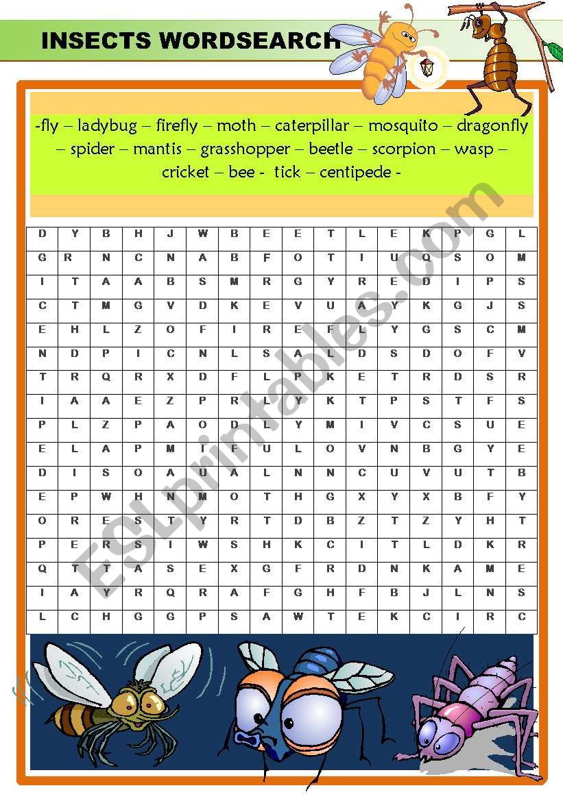 INSECTS WORDSEARCH worksheet