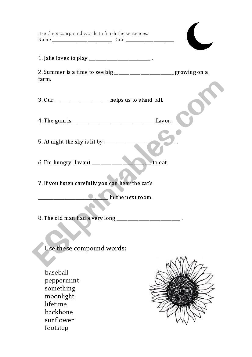 Comopund Words worksheet