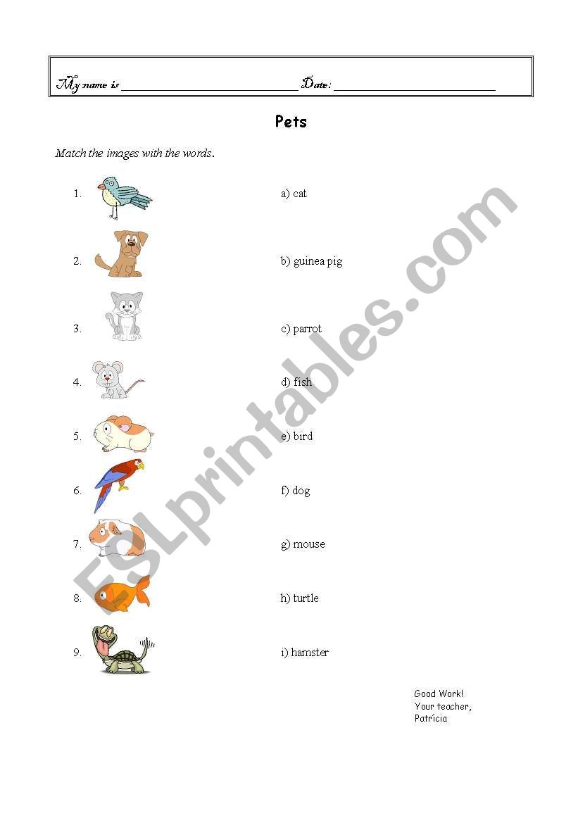 Matching the pets worksheet