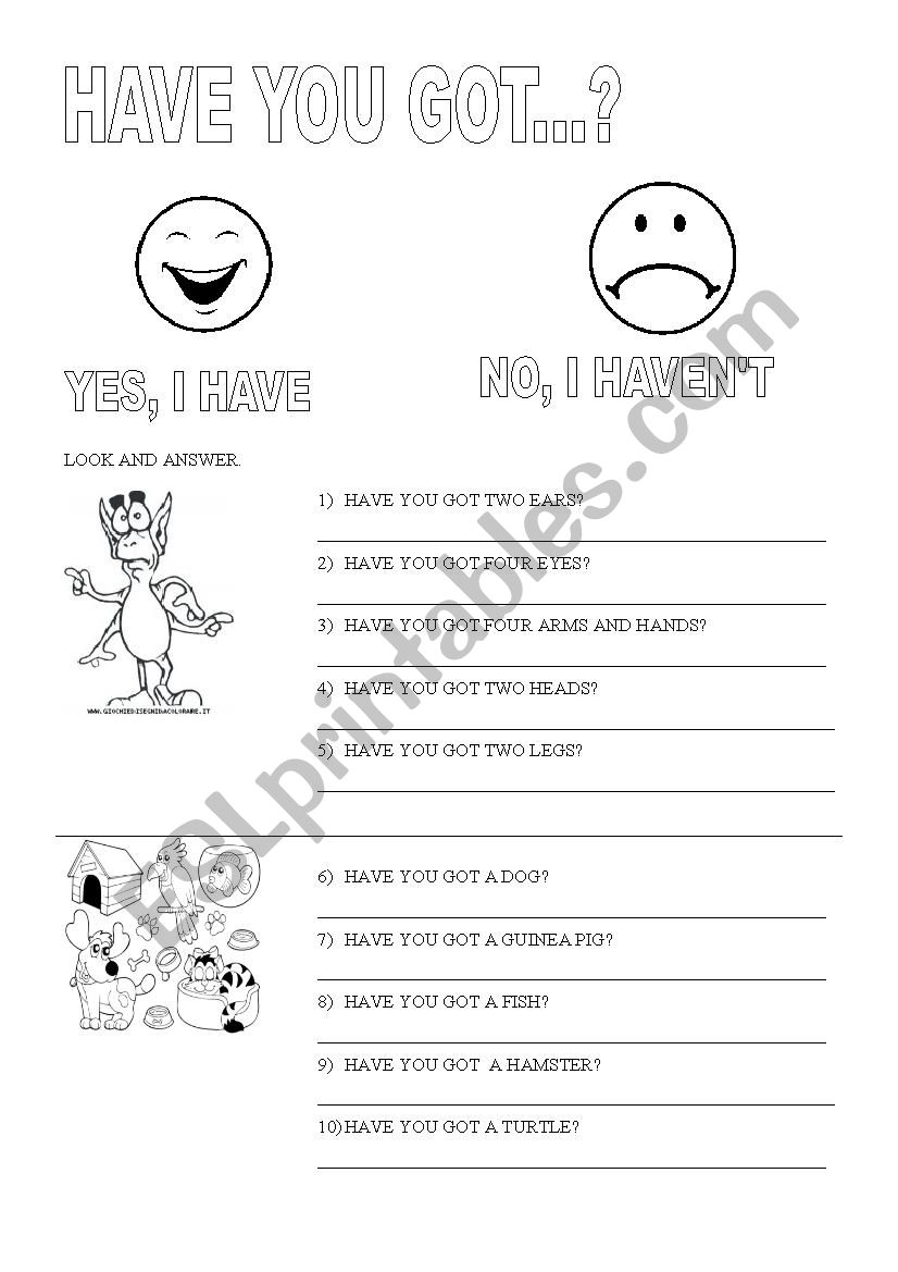 Have you got...? worksheet