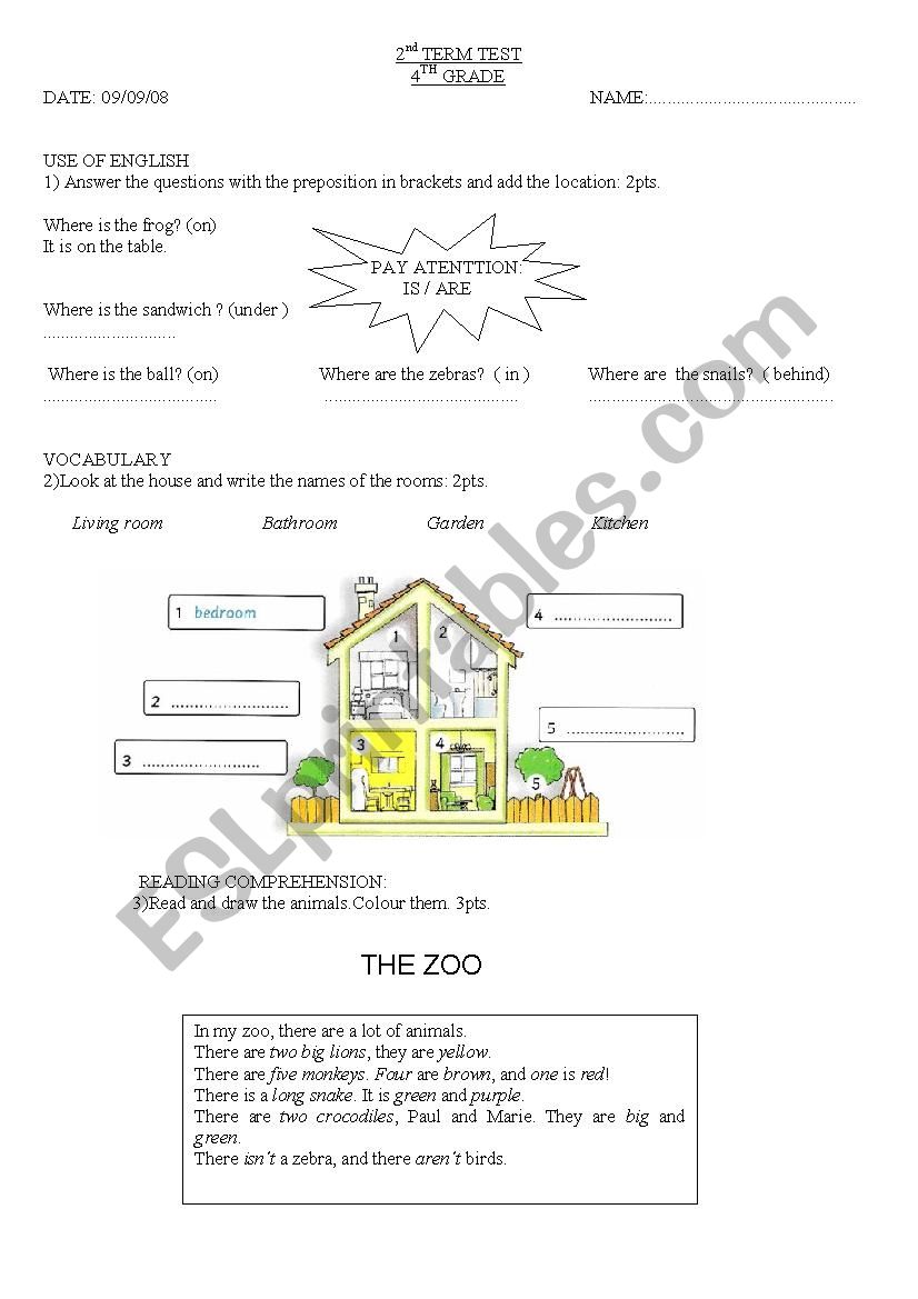 Test for elementary level worksheet