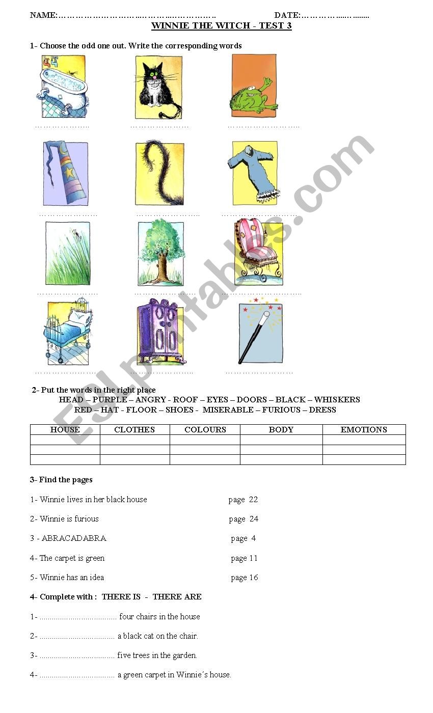 Winnie the Witch TEST worksheet