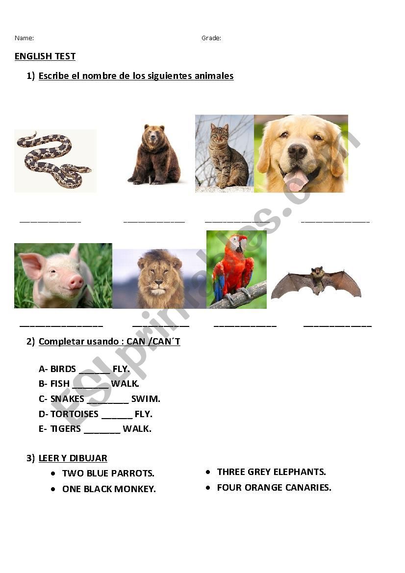 animals worksheet