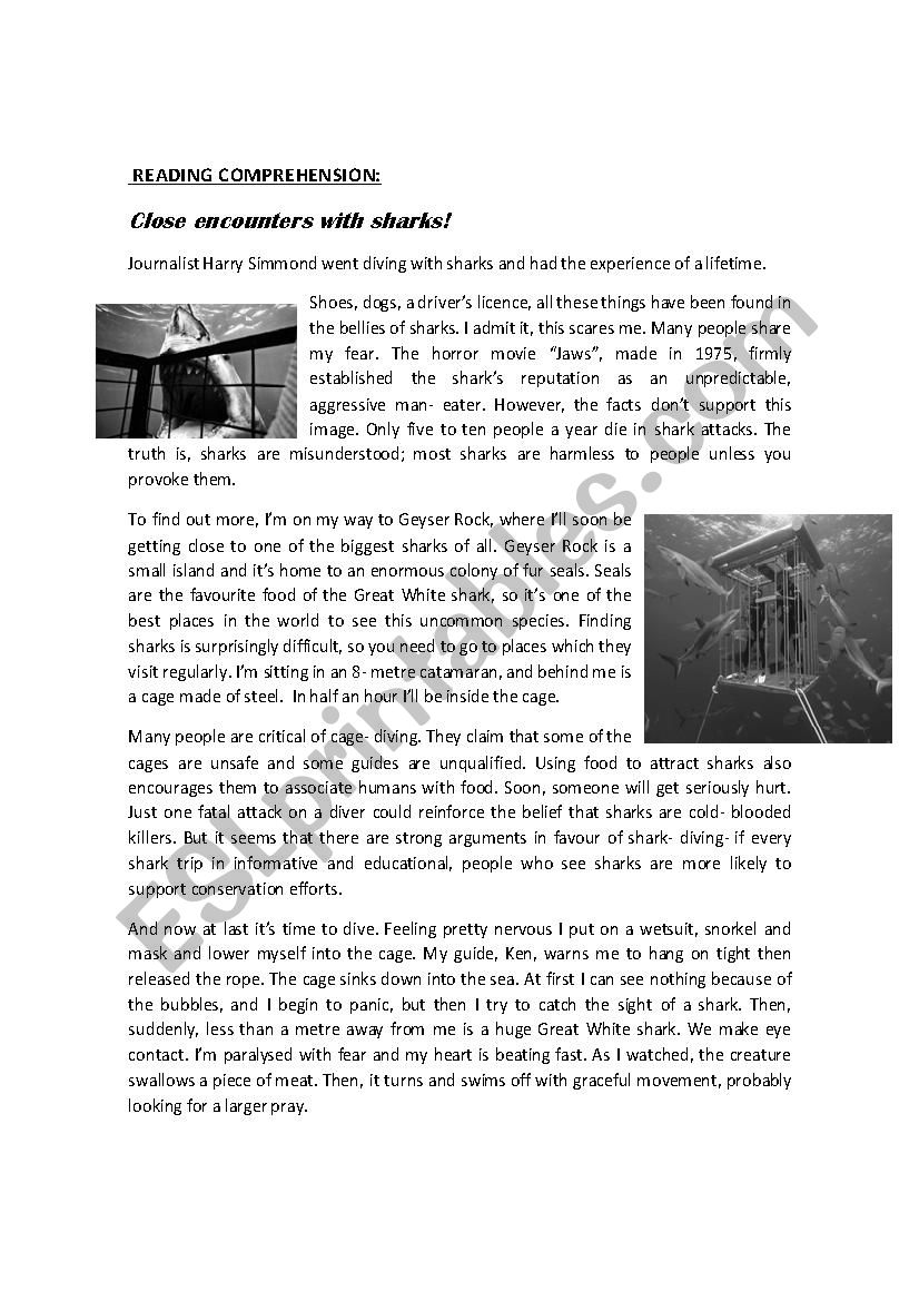 Reading comprehension worksheet