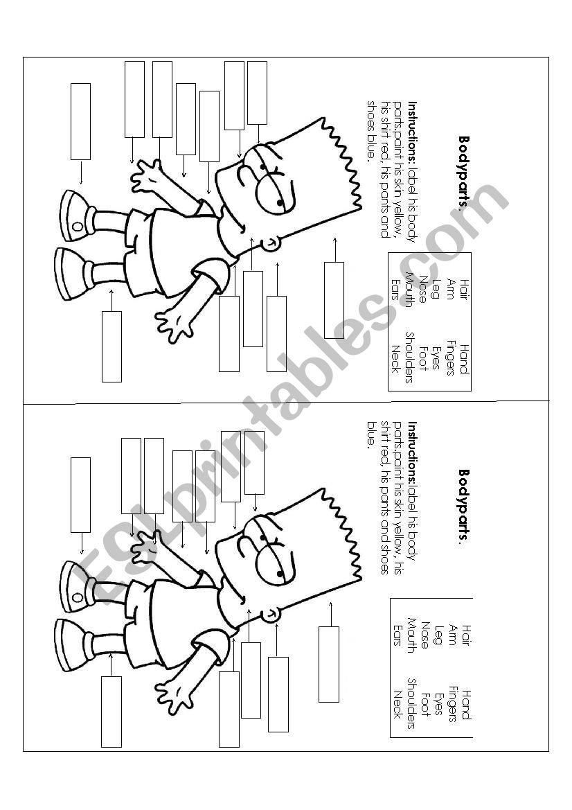 body parts worksheet