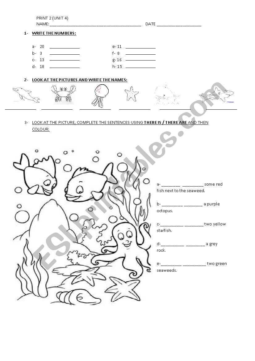 Test book print 2 (unit 4) worksheet