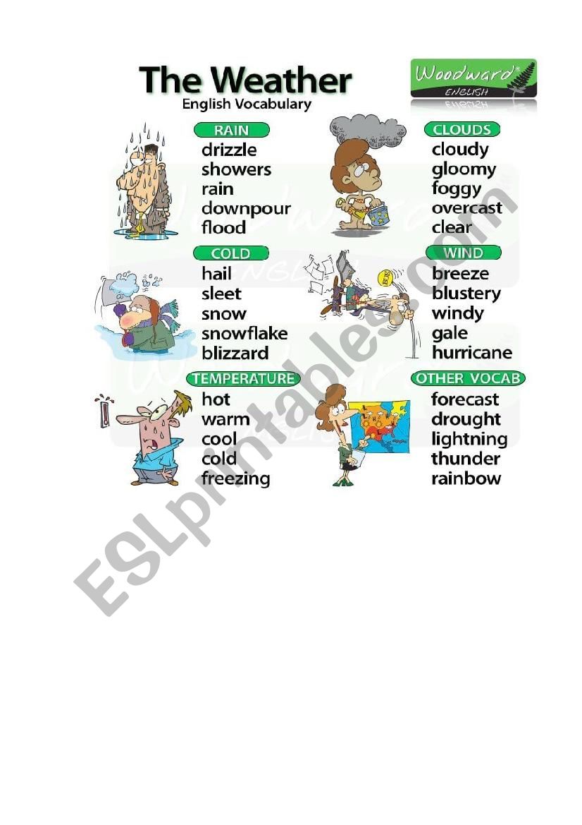 weather worksheet