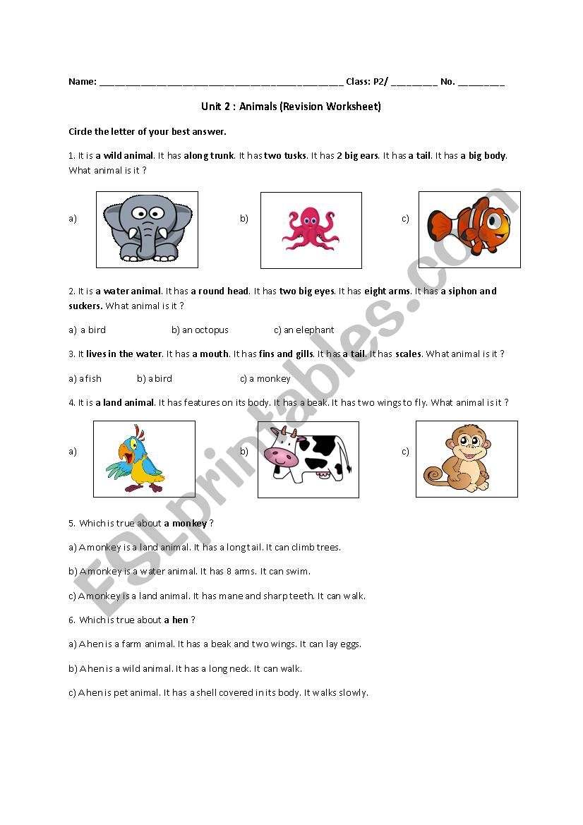 Animals test worksheet