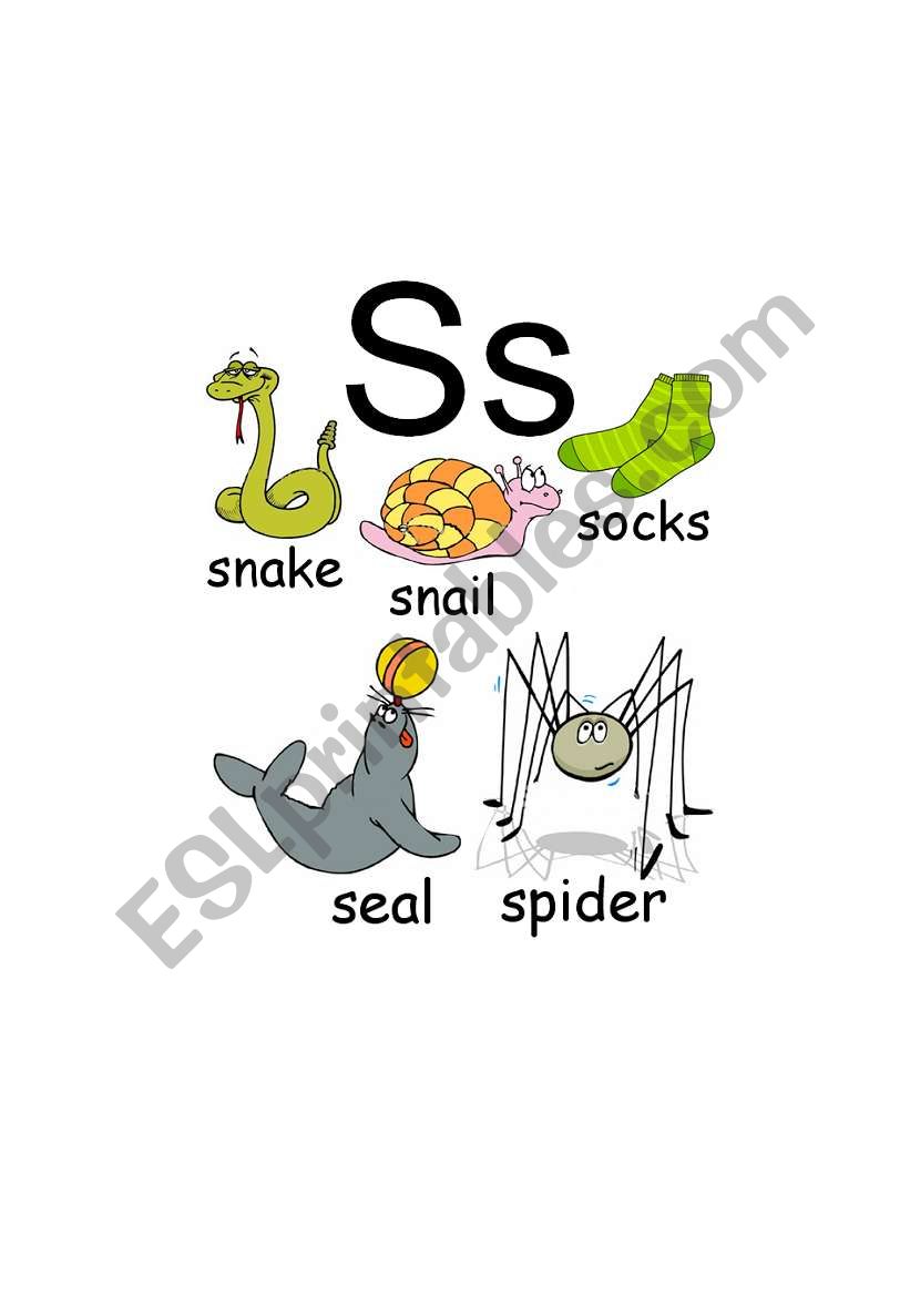 S words worksheet