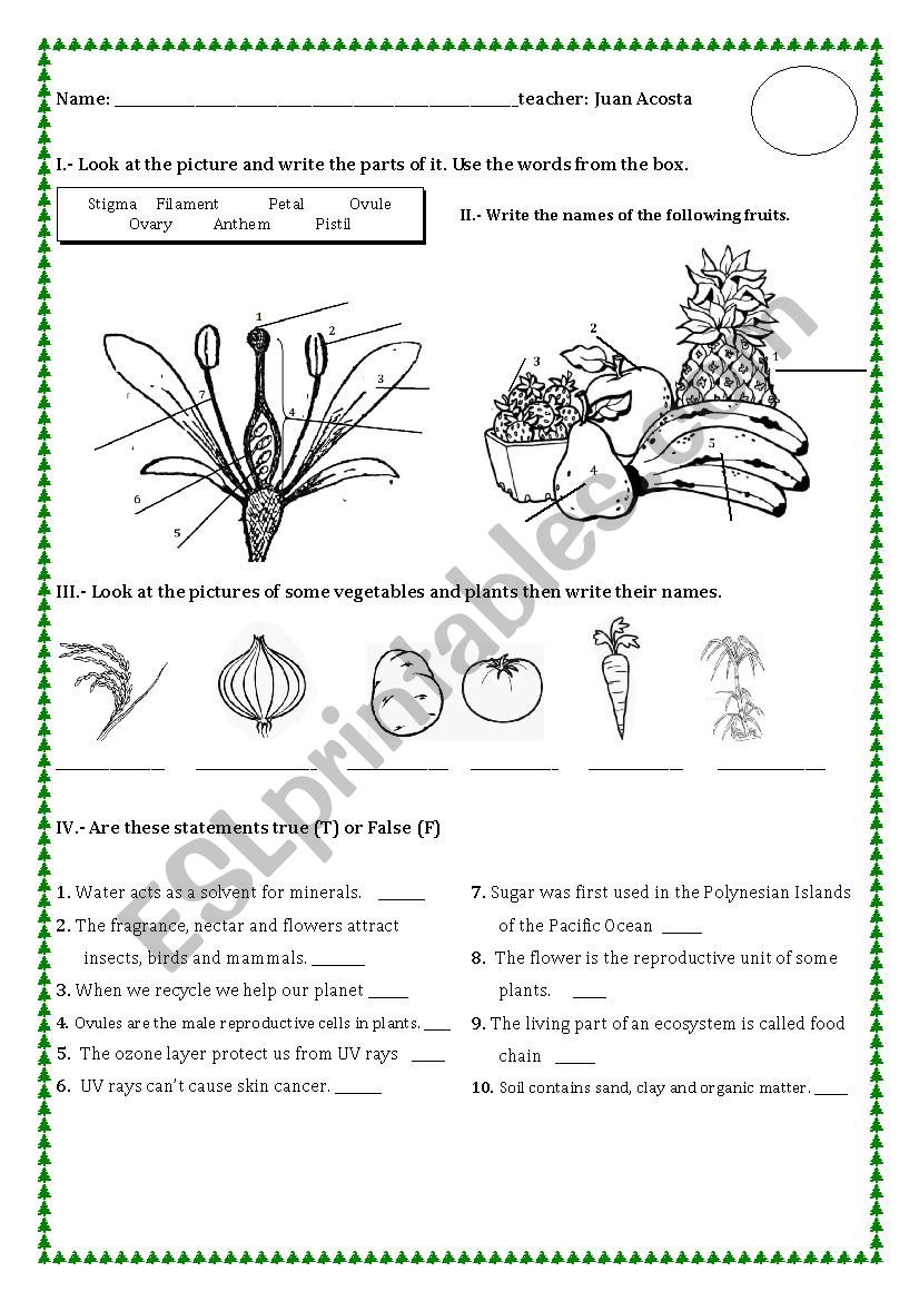 AGROINDUSTRY EXAM worksheet