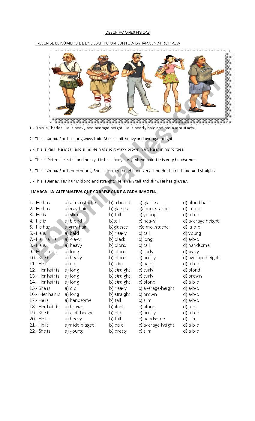 Physical Descriptions worksheet