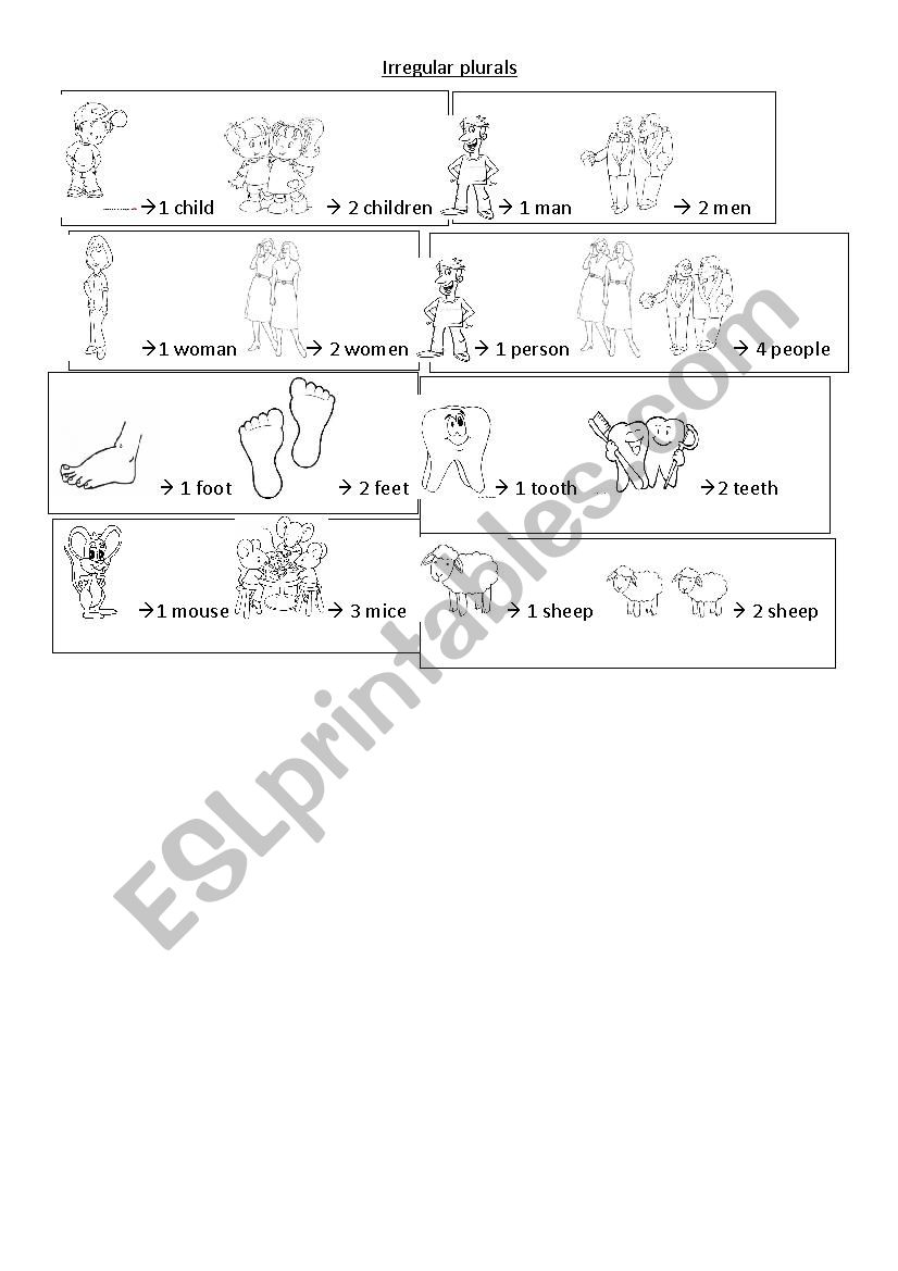 Irregular plurals  worksheet