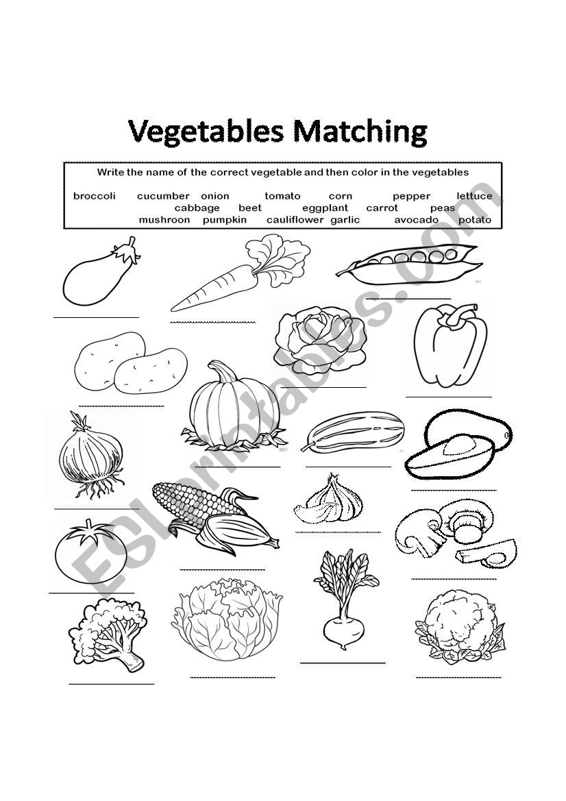 Vegetables worksheet