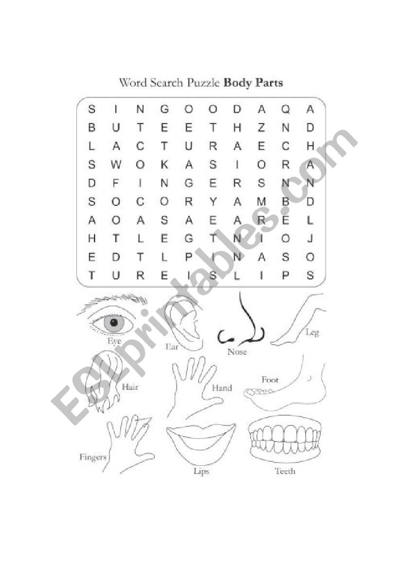puzzle parts of the body worksheet
