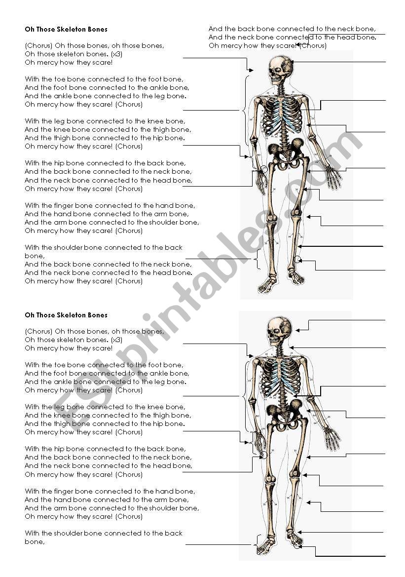 Skeleton Bones - Song lyrics and labels