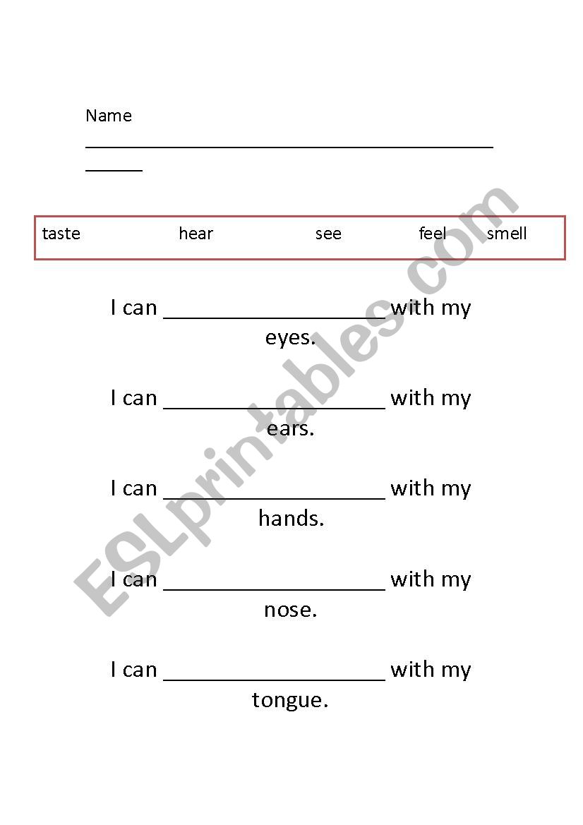 sense organ worksheet