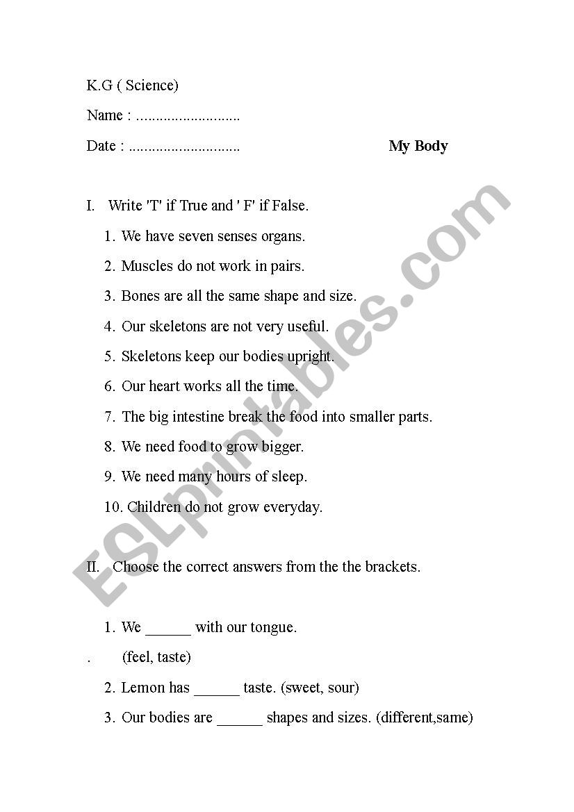 My body worksheet