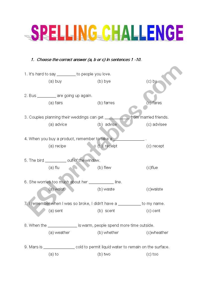 Spelling Challenge worksheet