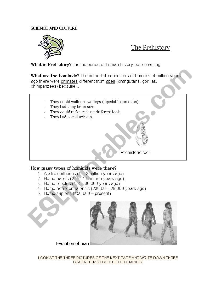 What is Prehistory? worksheet What is Prehistory? worksheet
