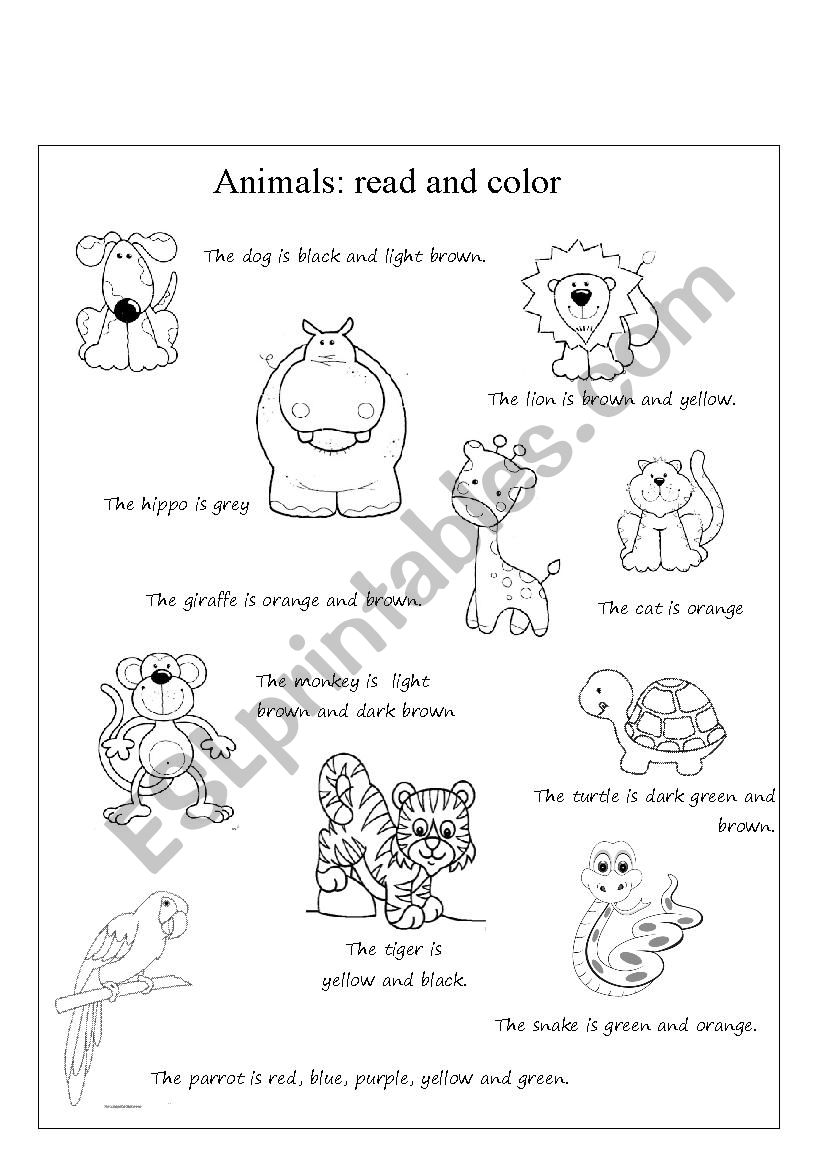 Animals read and color worksheet