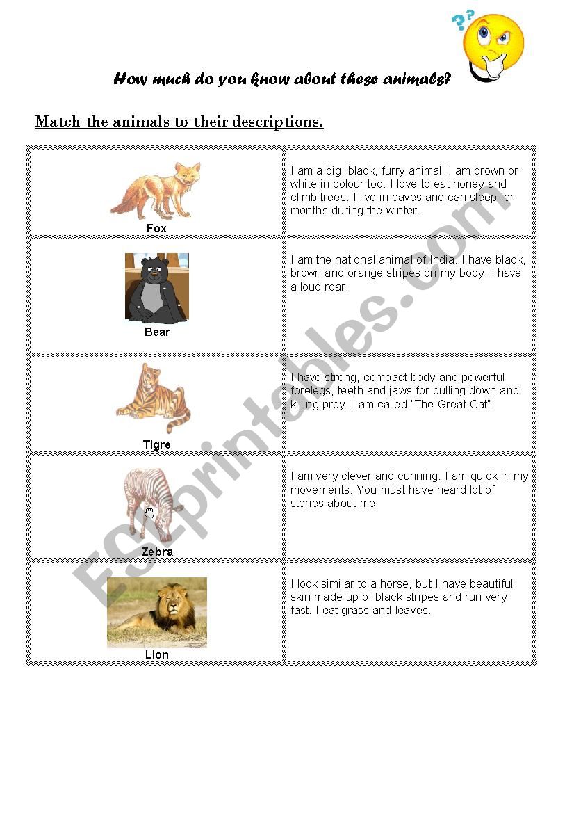 Wild Animals worksheet