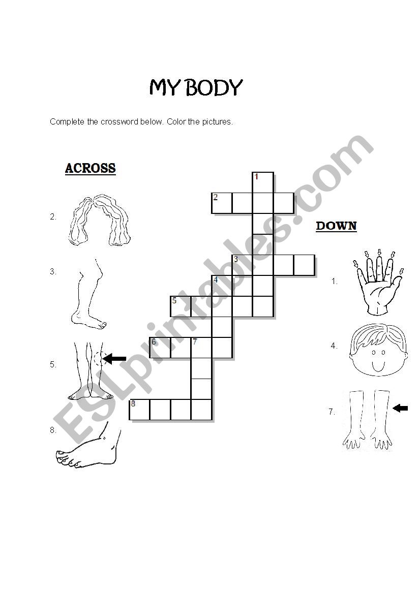 Body Parts Crossword worksheet