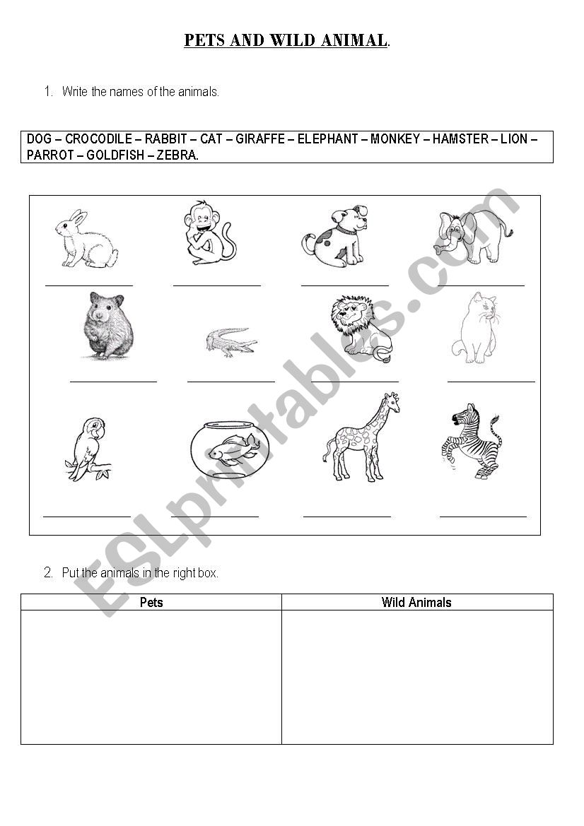 Pets / Wild Animals worksheet