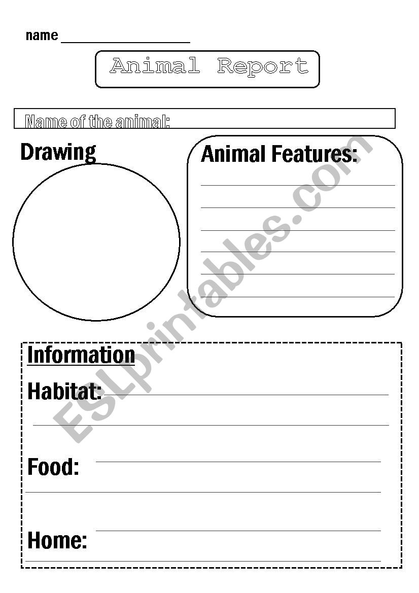 Animal Report Template worksheet