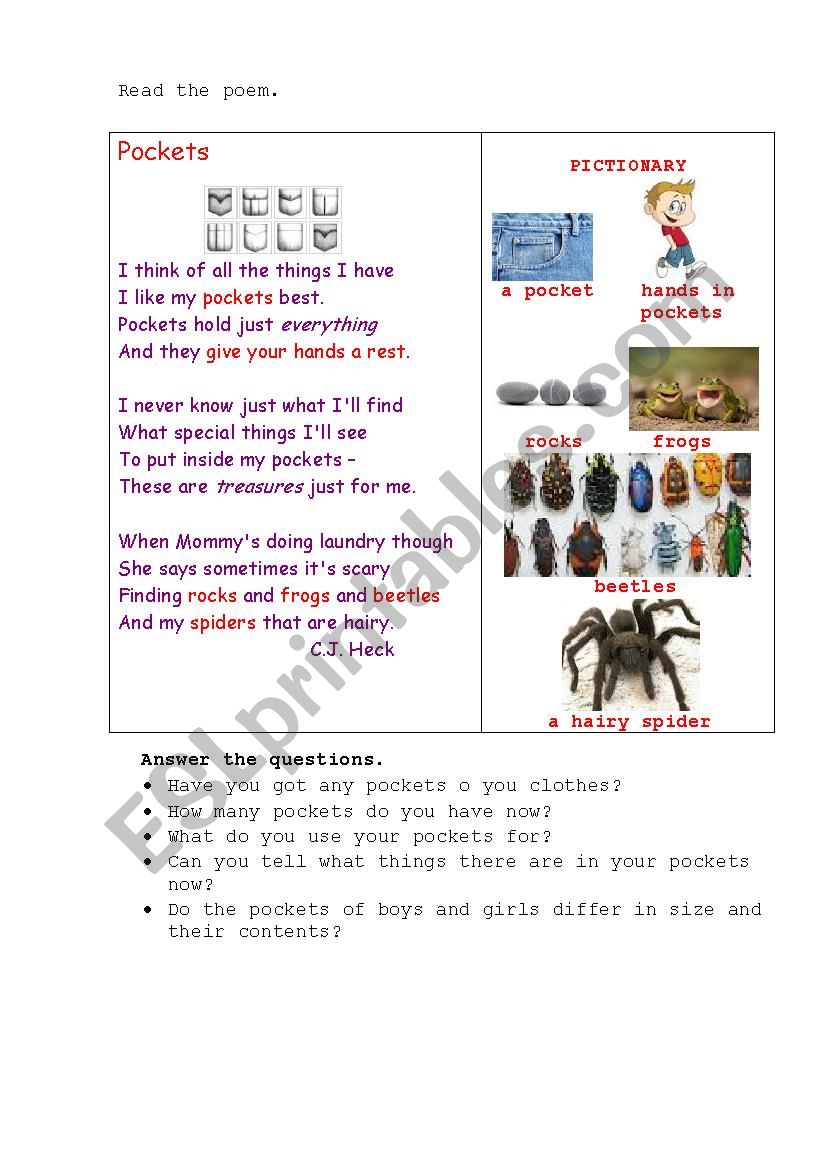 POCKETS (a poem + questions) worksheet