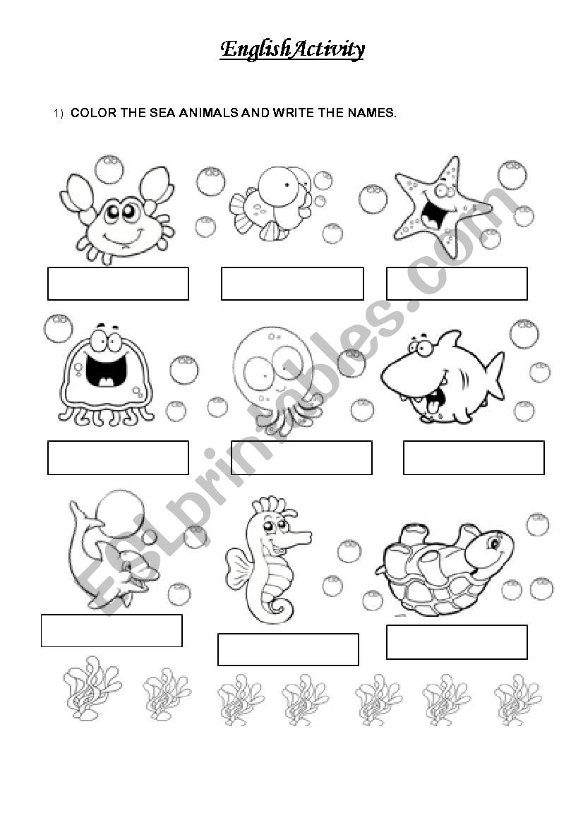 Sea Animals worksheet