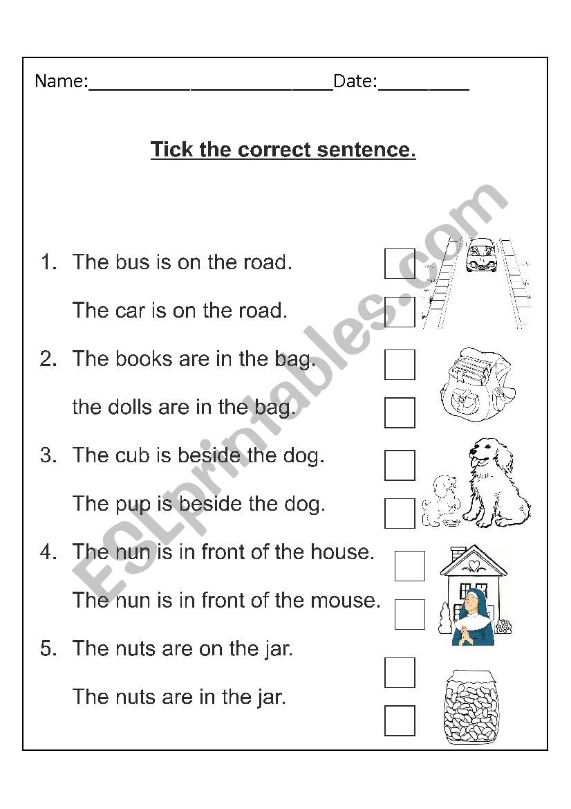 Tick the correct sentence worksheet