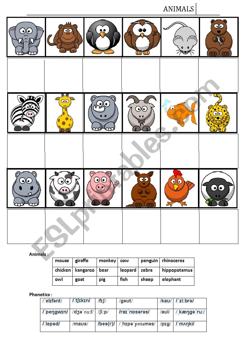 Animal phonetics worksheet