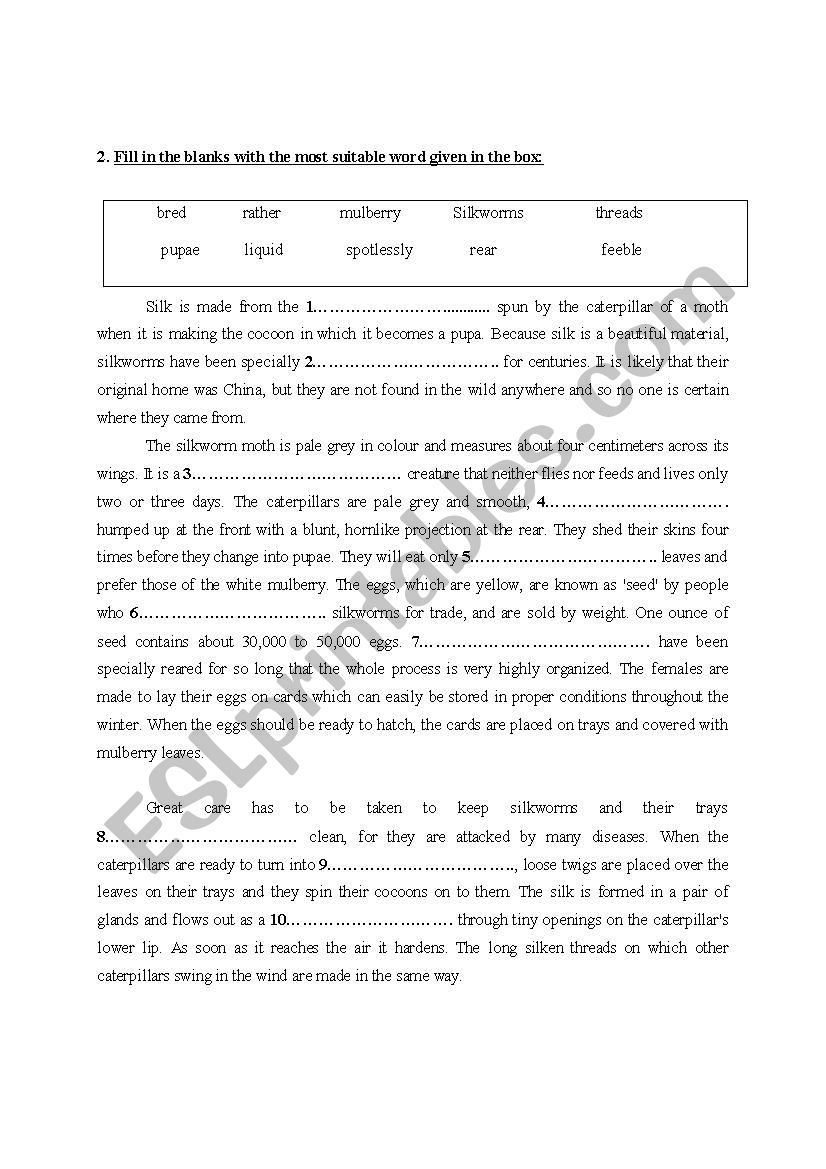 Cloze Passage worksheet