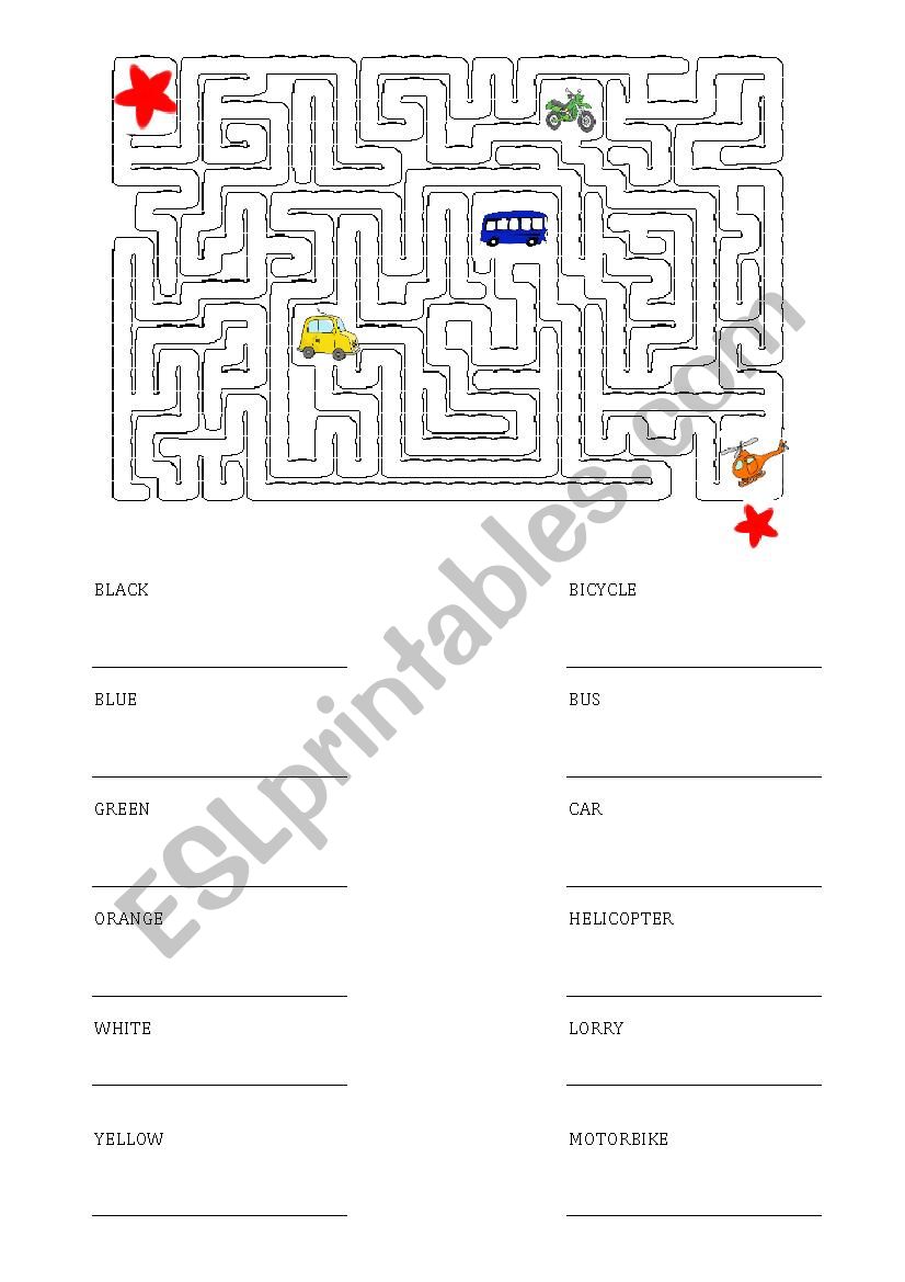 Transport worksheet