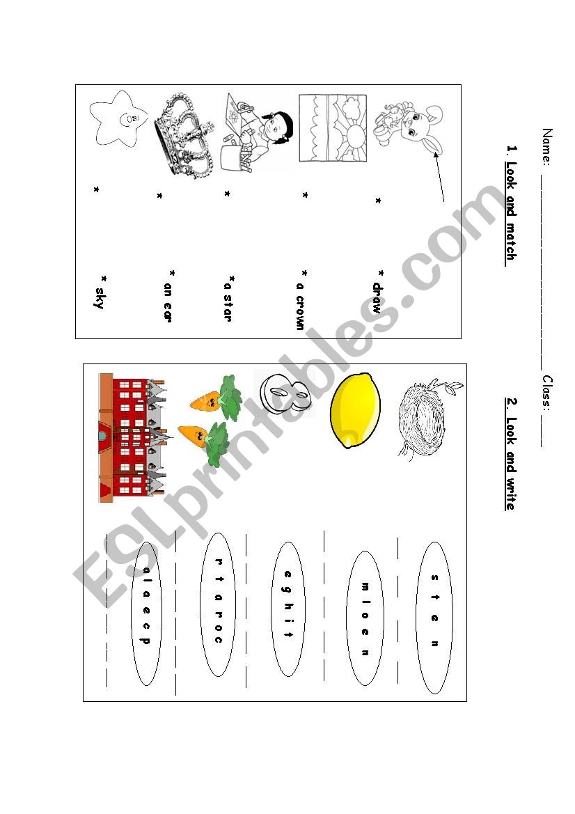 revision worksheet