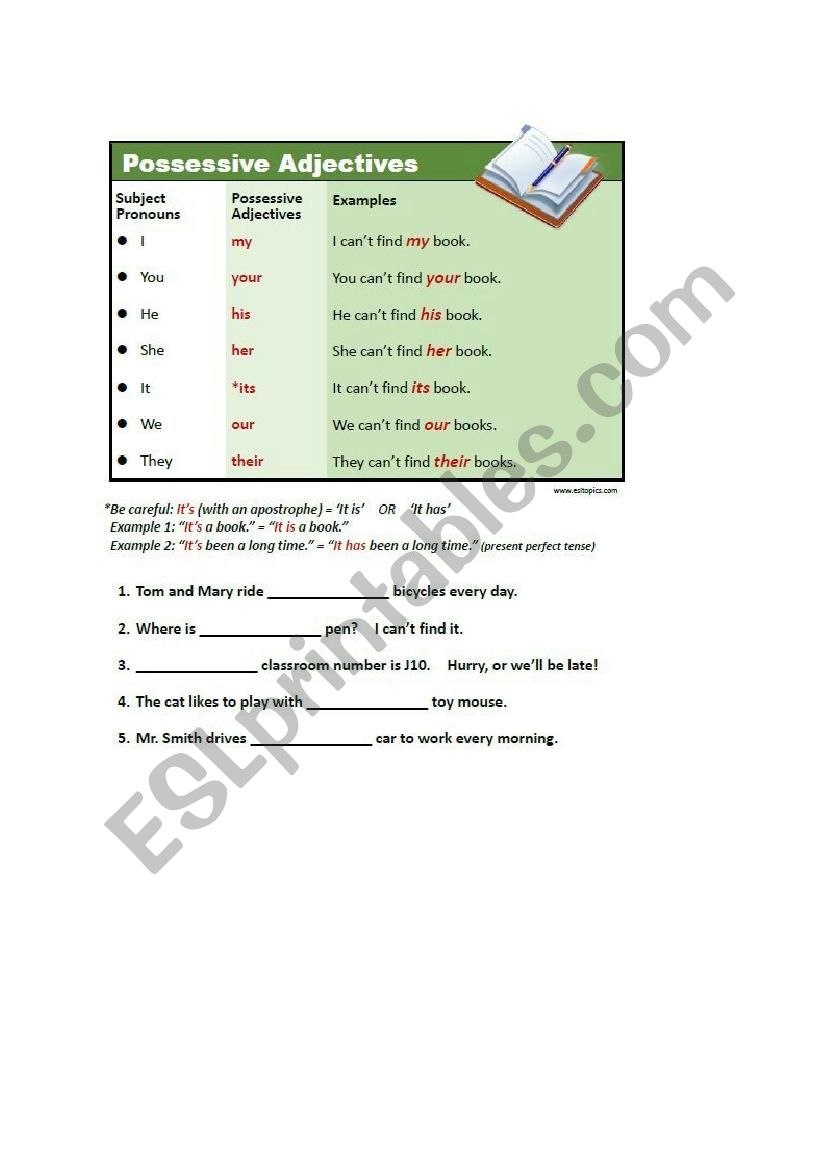 Possessive adjectives worksheet