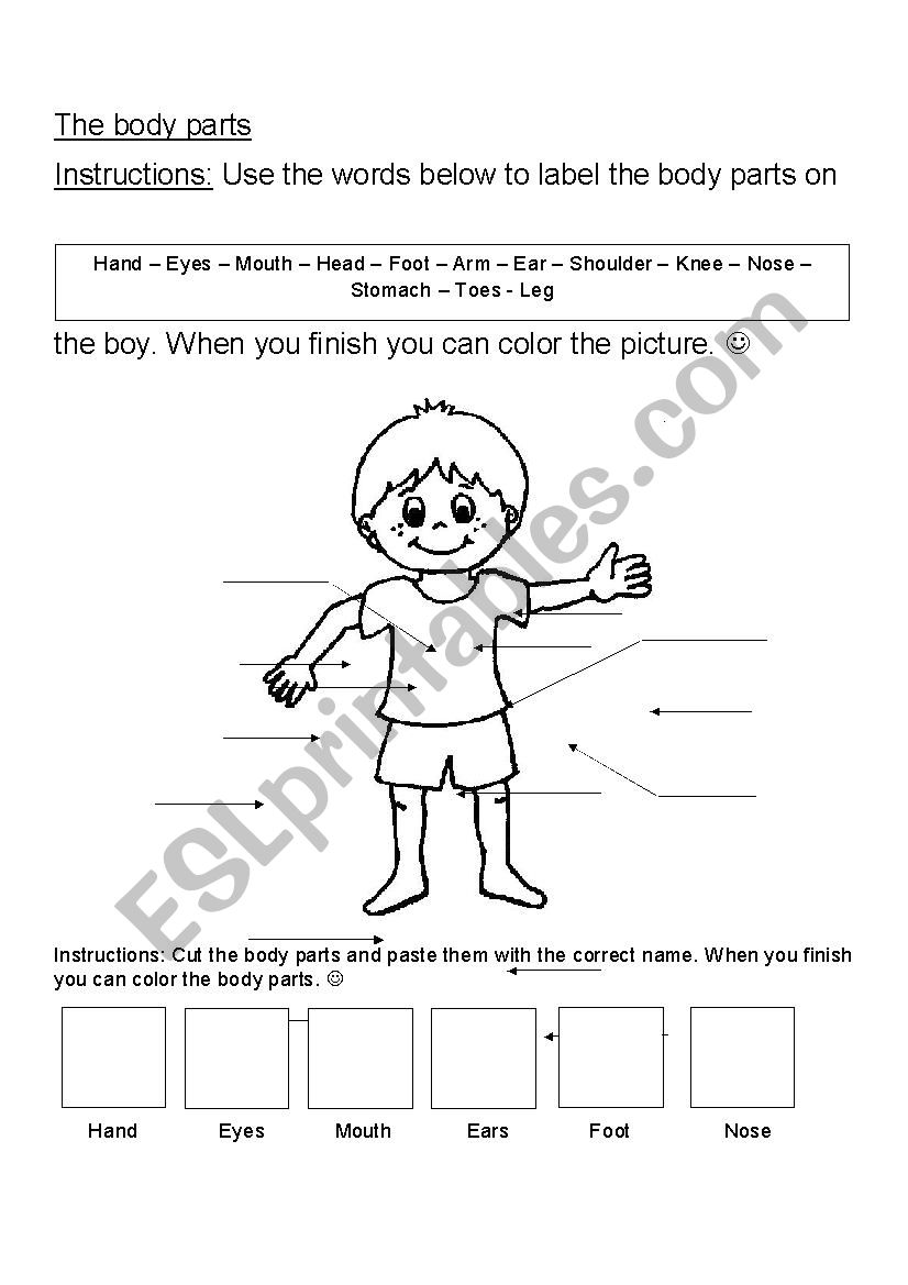 The body parts in english  worksheet
