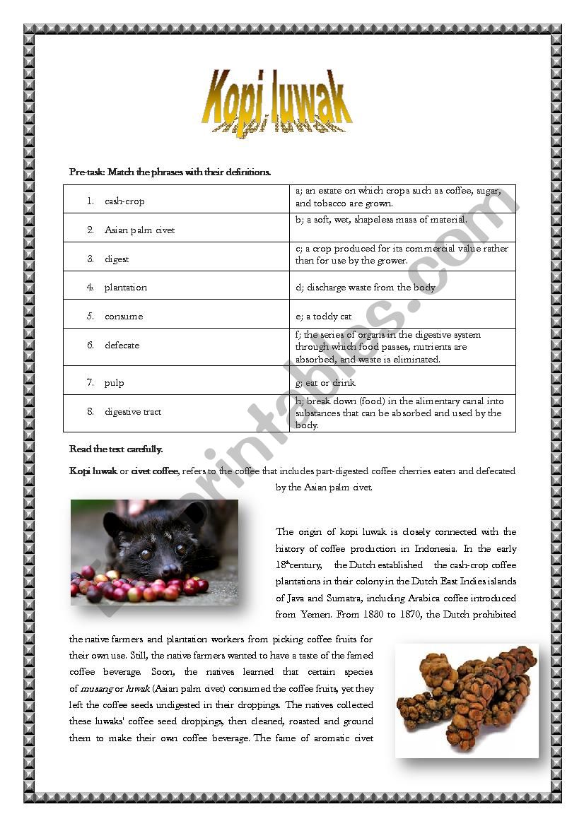 Kopi luwak- One of the most expensive coffees in the world