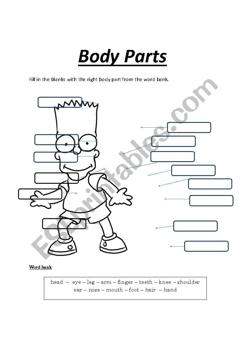 Body Parts - Bart worksheet
