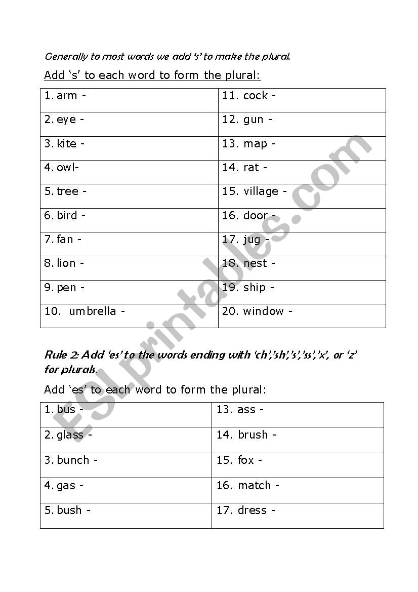 Plural rules worksheet with exercises